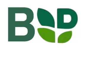 Administrative Assistant