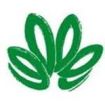 China Copper Mines Limited