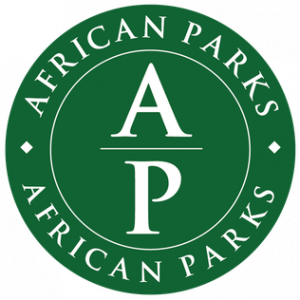 ASSISTANT ACCOUNTANT