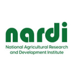Management Accountant – Fixed Term Contract