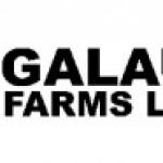 Tractor Driver – Crop Farming Operations