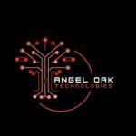 Angel Oak Investment Limited