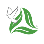 Head of Operations and Development
