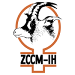 ZCCM Investment Holdings Plc