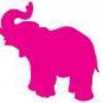Food & Beverage Manager