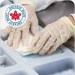 Safe Pro Cold Storage Solutions Proprietary Limited