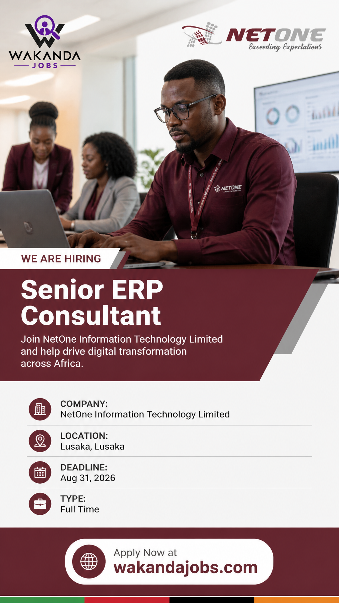 Senior ERP Consultant